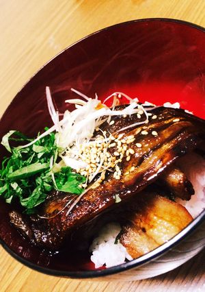 コレうなぎ？に見えるナスの蒲焼き丼♪-レシピのメイン写真