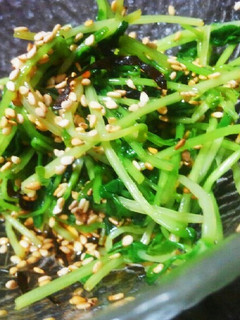 レンジで簡単!さっぱり豆苗のゴマポン和え-レシピのメイン写真