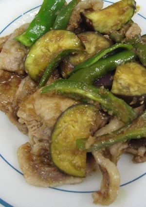 ナスとピーマンの豚肉生姜炒め-レシピのメイン写真
