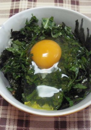 簡単！鮭ご飯でＭｙどんぶり-レシピのメイン写真
