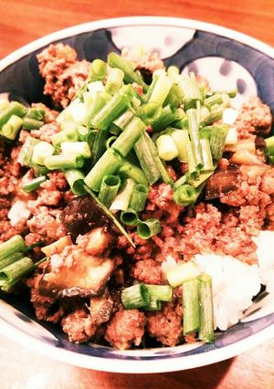 ナスと挽き肉の味噌炒め丼☆小ネギ盛り盛り-レシピのメイン写真