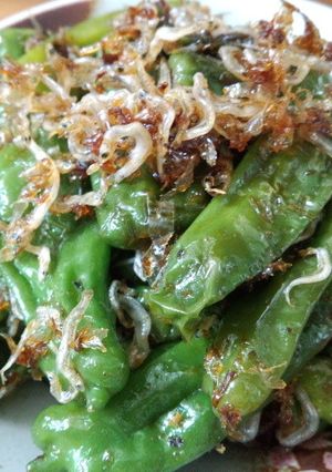 ししとう常備菜-レシピのメイン写真