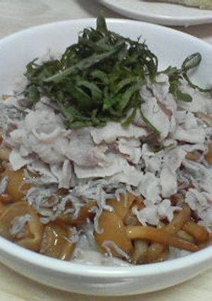 あっさりさっぱり☆梅のぉうどん-レシピのメイン写真