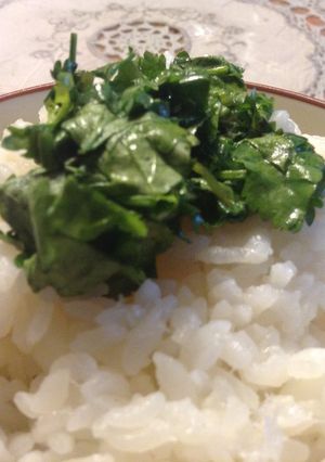 簡単！塩パクチー-レシピのメイン写真