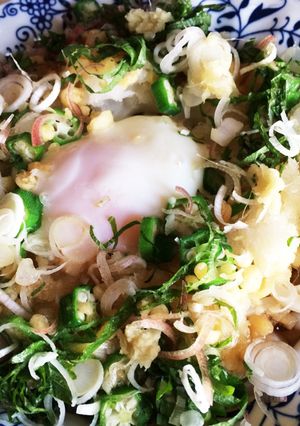 夏バテ解消　冷したぬき隠し納豆おろしそば-レシピのメイン写真