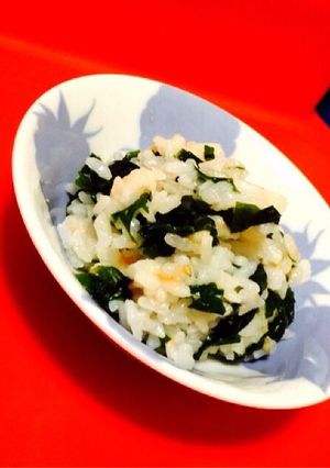 離乳食〜鮭わかめのご飯〜(9-11ヶ月)-レシピのメイン写真