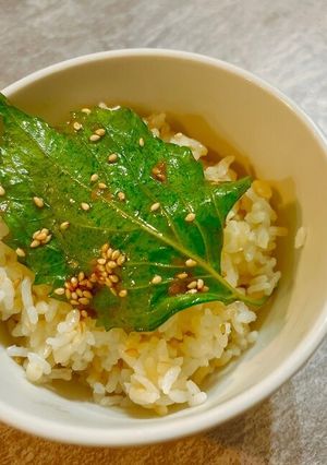 やみつき大葉漬け-レシピのメイン写真