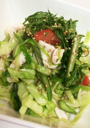 鶏ムネ肉とキャベツの塩ゴマサラダ-レシピのメイン写真