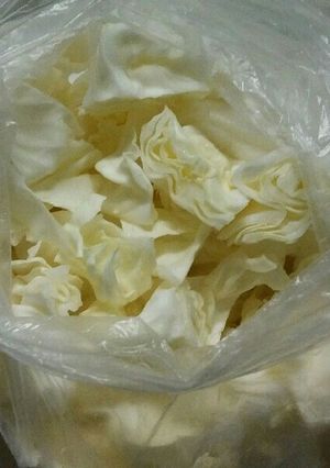 外出が多く成る季節野菜★保存版vo.4★-レシピのメイン写真