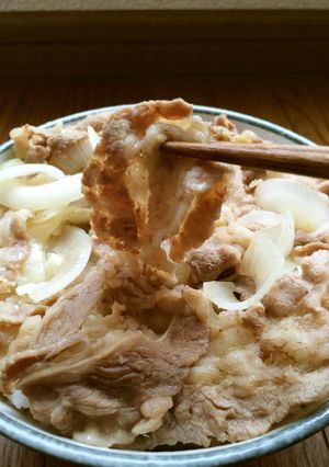 吉野家風195791&655561牛丼-レシピのメイン写真