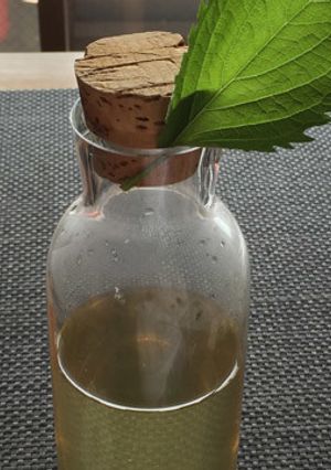 花粉症に！大葉ジュース-レシピのメイン写真