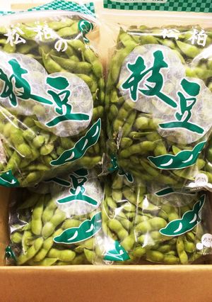 スチームクッカーで簡単!美味!だだ茶豆♪-レシピのメイン写真