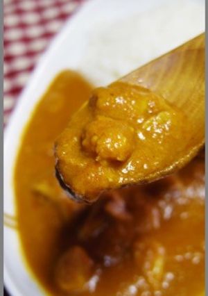 カレー研究会!チキンカレーでシャリカレー-レシピのメイン写真
