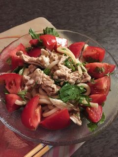 しゃぶしゃぶサラダうどん-レシピのメイン写真