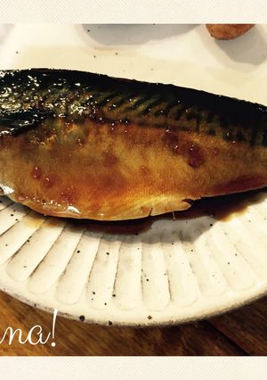 鯖の生姜煮-レシピのメイン写真