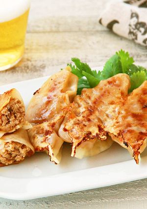 チーズボンカレー餃子-レシピのメイン写真