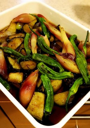 簡単！夏野菜で揚げ浸し-レシピのメイン写真