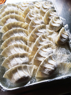 タネから手作り♡おから餃子-レシピのメイン写真