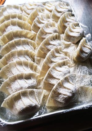 タネから手作り♡おから餃子-レシピのメイン写真