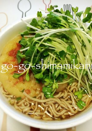 カップ麺にカイワレ大根-レシピのメイン写真