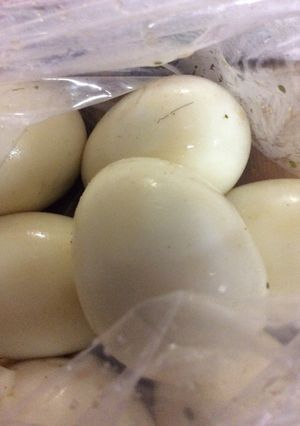 簡単！？味たま-レシピのメイン写真