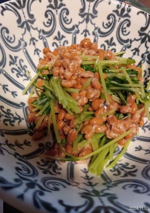 豆苗の納豆和え-レシピのメイン写真