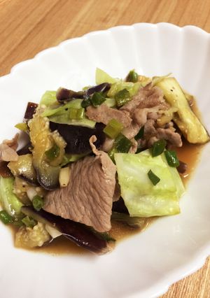 ナスとキャベツと豚肉の柚子胡椒ポン酢炒め-レシピのメイン写真