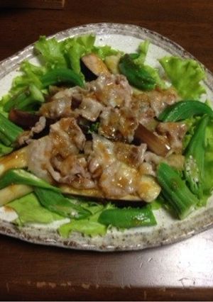 オクラとナスのカリカリ豚バラサラダ-レシピのメイン写真