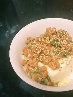 納豆オクラ冷奴-レシピのメイン写真