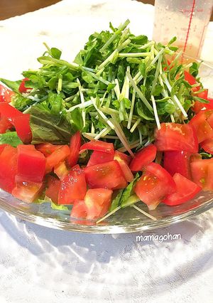 豆苗サラダとはちみつドレッシング-レシピのメイン写真