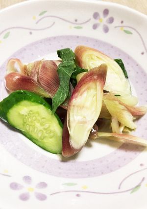 夏にピッタリ！夏の甘酢漬け-レシピのメイン写真