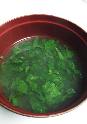 夏に作るトロトロネバネバスープ！-レシピのメイン写真