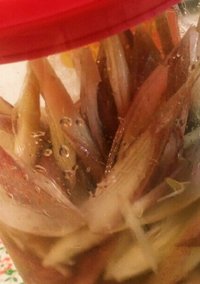 【副菜に】みょうがの甘酢漬け【簡単】-レシピのメイン写真