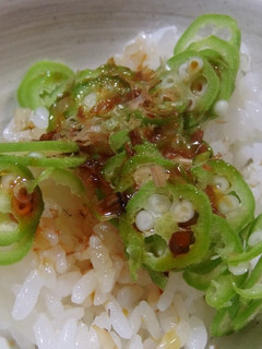 ご飯のお供に生オクラ!-レシピのメイン写真
