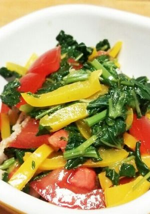 彩り野菜と豚しゃぶ肉の塩ﾀﾞﾚ-レシピのメイン写真