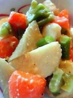 根菜の味噌ドレッシングサラダ-レシピのメイン写真