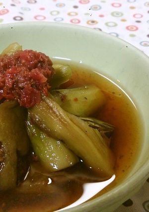 茄子大量消費☆茄子の梅浸し☆-レシピのメイン写真