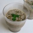 チアシードの豆乳カフェゼリー