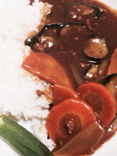 茄子のカレー-レシピのメイン写真
