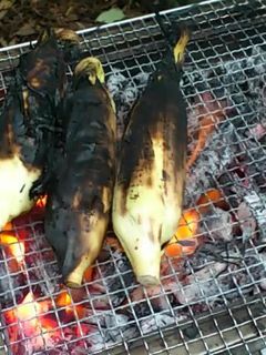 バーベキューでのとうもろこしの焼き方-レシピのメイン写真