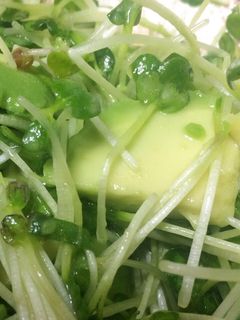 アボカドとカイワレのシソさっぱりサラダ-レシピのメイン写真