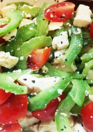 *ゴーヤのトマト豆腐サラダ*-レシピのメイン写真