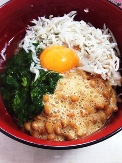 モロヘイヤで栄養たっぷりネバネバ丼-レシピのメイン写真