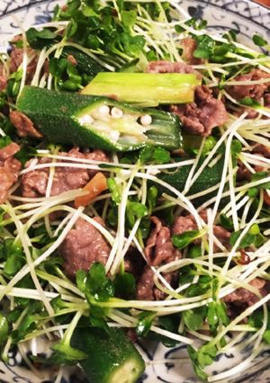 いっぱいカイワレ食べれる肉炒め-レシピのメイン写真