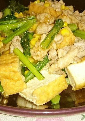 厚揚げと豚肉の炒めもの-レシピのメイン写真
