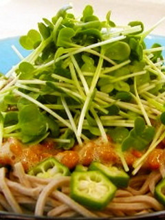 かいわれ・おくら・納豆ねばねば冷やしそば-レシピのメイン写真