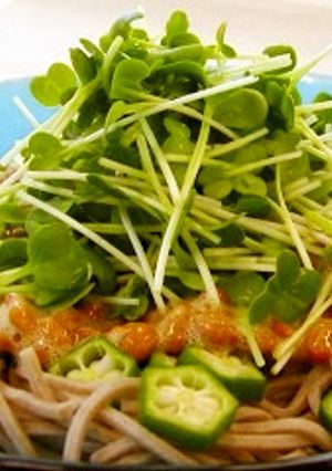 かいわれ・おくら・納豆ねばねば冷やしそば-レシピのメイン写真