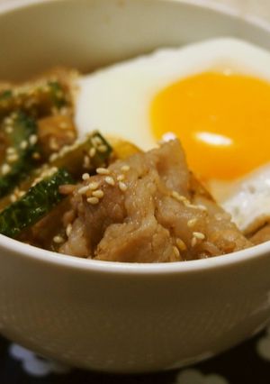 豚バラとゴーヤのスタミナ丼-レシピのメイン写真