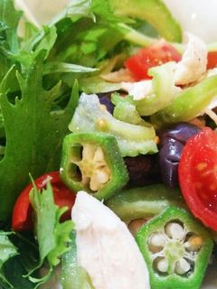 *夏野菜&ササミのスタミナサラダ*-レシピのメイン写真