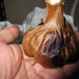 黒にんにく作り(低臭対策)